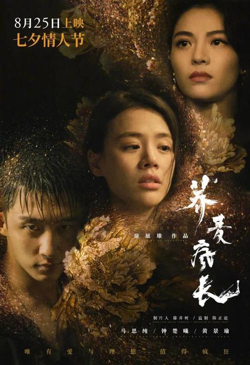 麻省自由艺术学院成绩单电子图
